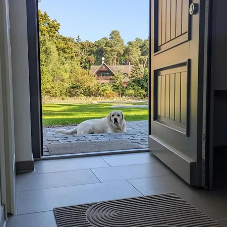 Ovis Natur, Ruhe Und Erholung In Der Lueneburger Heide, Hunde Willkommen * Winsen