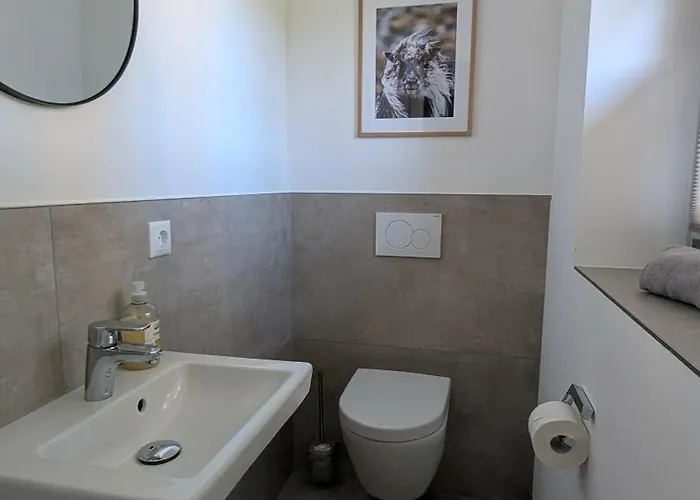 Ovis Дом отдыха *