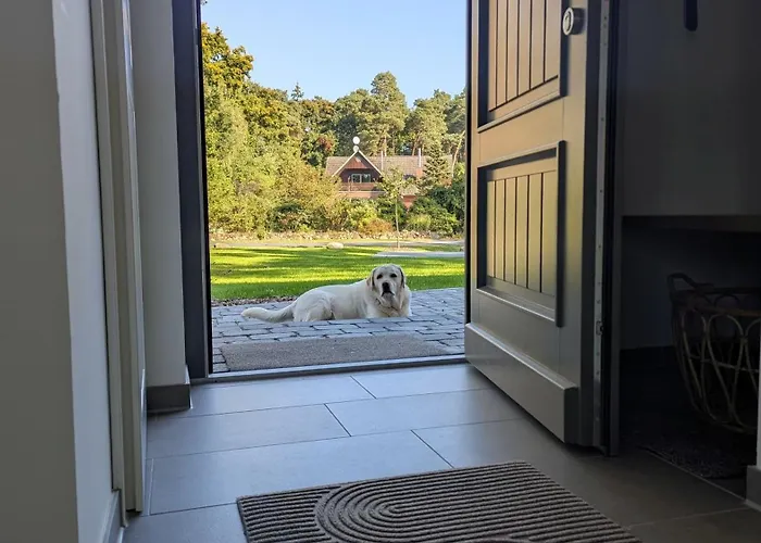 Ovis * Winsen an der Aller